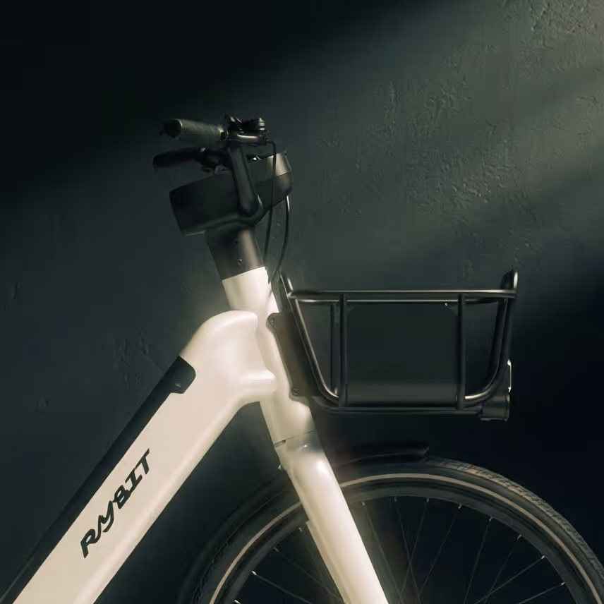 Delivery Light e-bike from the front